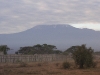 (01) Kilimandjaro vu du Kenya