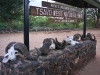 (04) Parc National de Tsavo